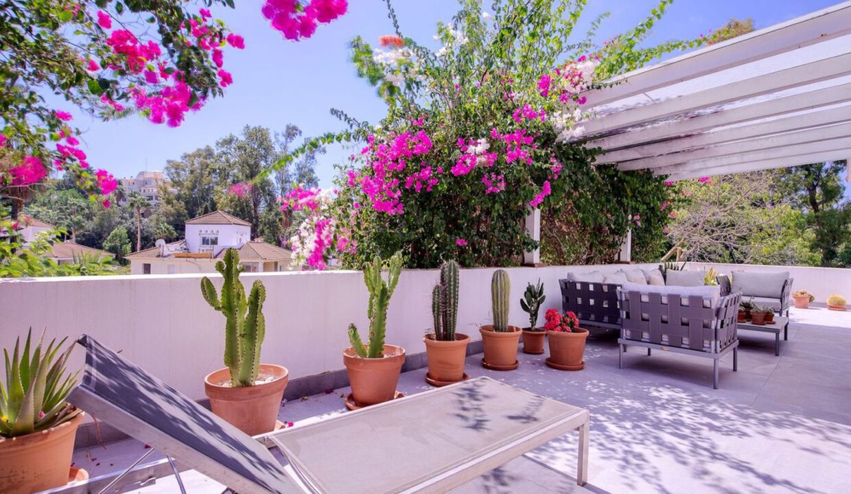 nueva-andalucia-villa-8