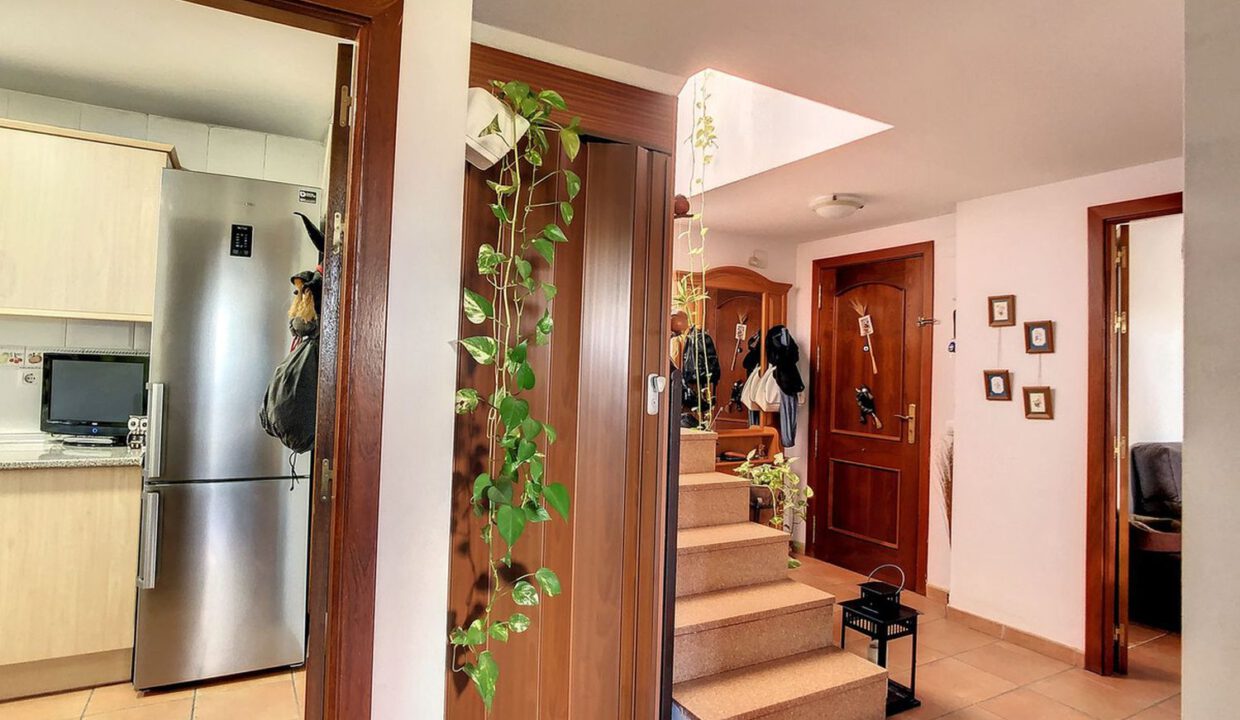 los-pacos-duplex-2